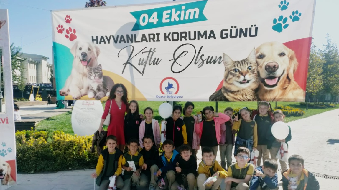 3-A SINIFI 04 EKİM HAYVANLARI KORUMA GÜNÜ ETKİNLİĞİ